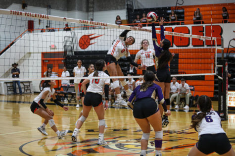 Senior Yuliana Salazar kills the ball against Burges on Sept. 27 a game the Tigers won in three sets. Yuliana is one of seven seniors on the team.